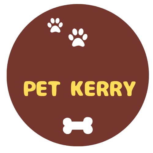 pet kerry